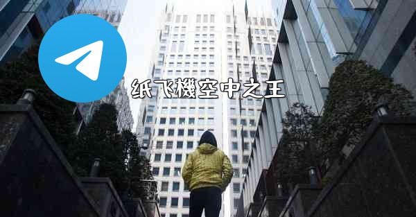 纸飞機空中之王