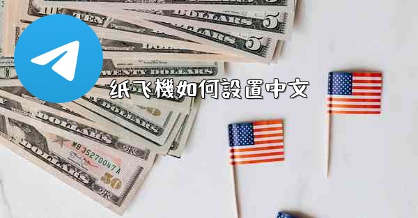 纸飞機如何設置中文