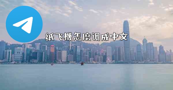 纸飞機怎麼调成中文