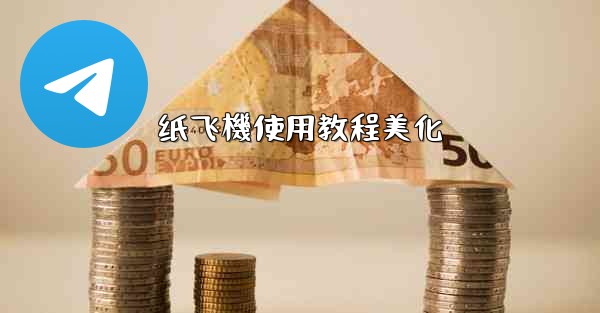 纸飞機使用教程美化