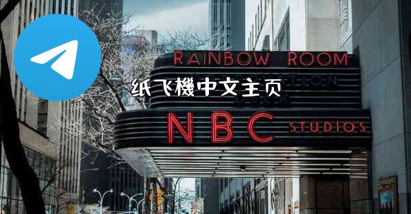 纸飞機中文主页