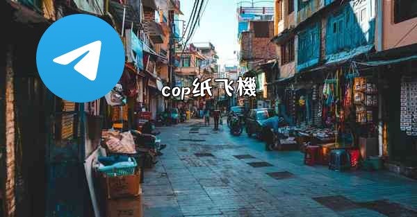 cop纸飞機