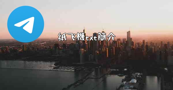 纸飞機txt簡介