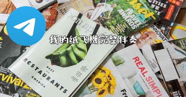 我的纸飞機完整伴奏