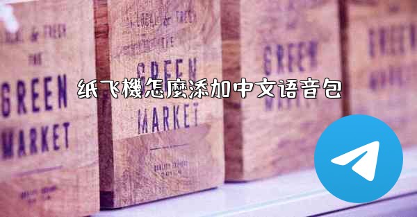 纸飞機怎麼添加中文语音包