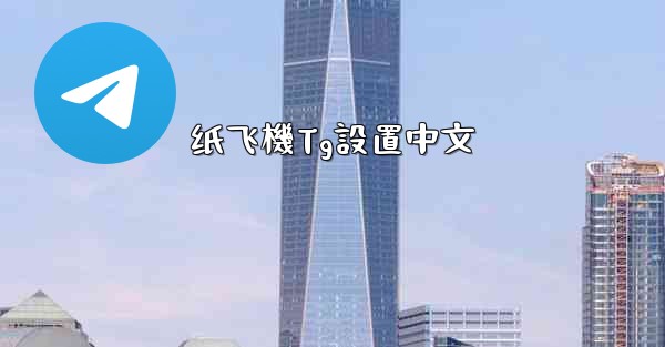 纸飞機Tg設置中文