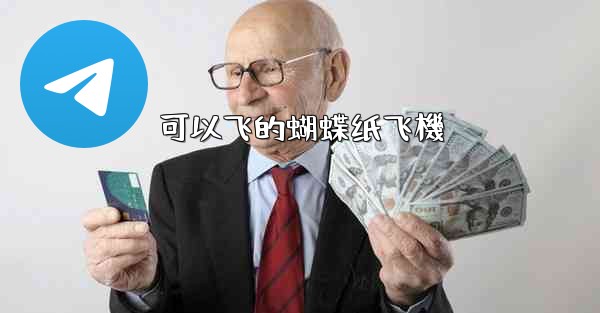 可以飞的蝴蝶纸飞機