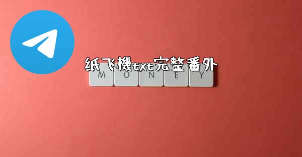 纸飞機txt完整番外