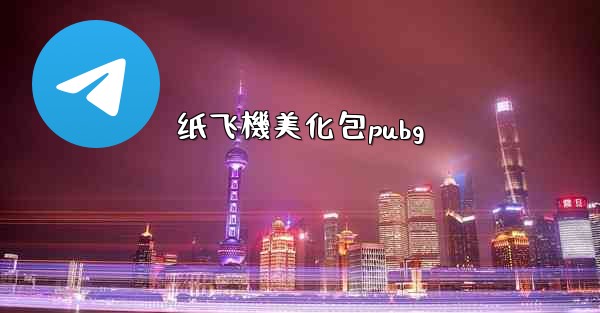 纸飞機美化包pubg