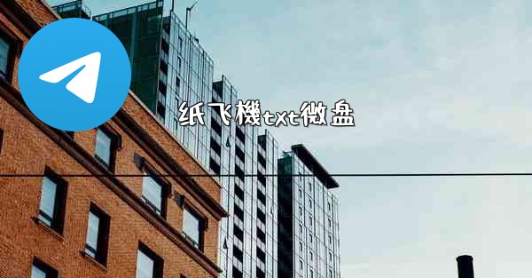 纸飞機txt微盘