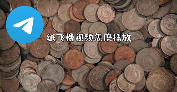 纸飞機视频怎麼播放