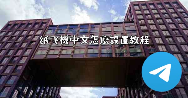 纸飞機中文怎麼設置教程