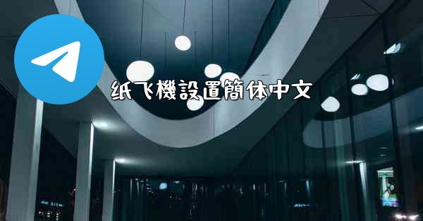 纸飞機設置簡体中文