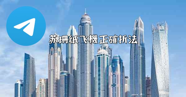 苏珊纸飞機正確折法