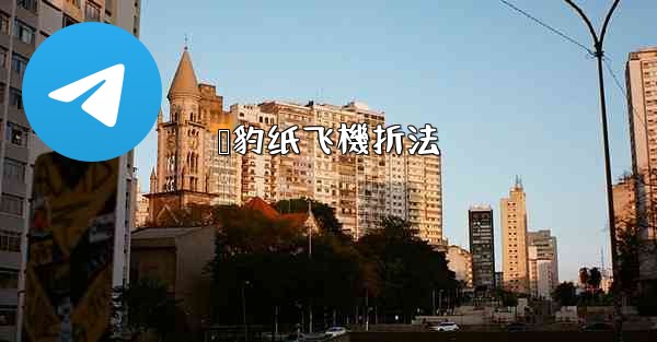 猎豹纸飞機折法