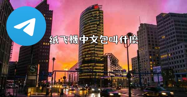 纸飞機中文包叫什麼