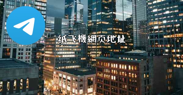 纸飞機網页地址