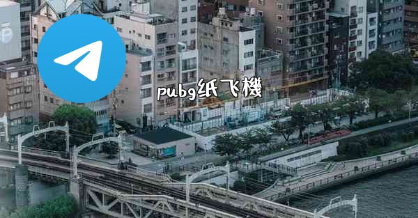 pubg纸飞機