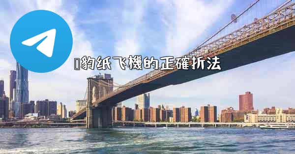 猎豹纸飞機的正確折法