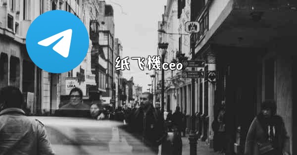 纸飞機ceo