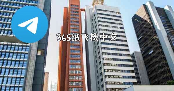 365纸飞機中文