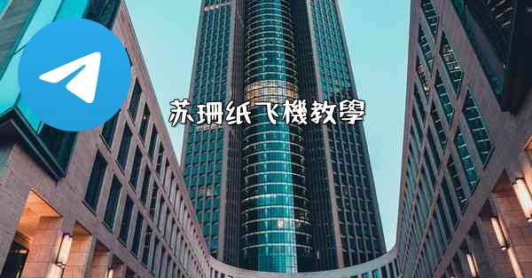 苏珊纸飞機教學