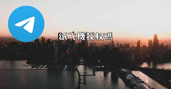 纸飞機授权碼