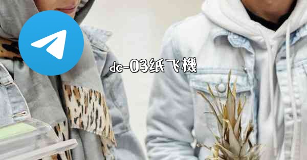 dc-03纸飞機