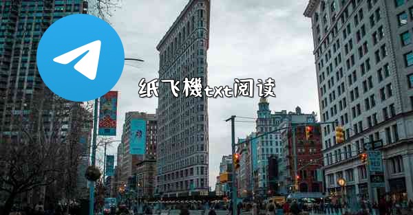 纸飞機txt阅读
