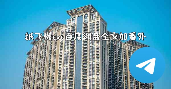 纸飞機txt百度網盘全文加番外