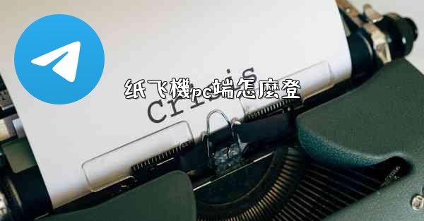 纸飞機pc端怎麼登