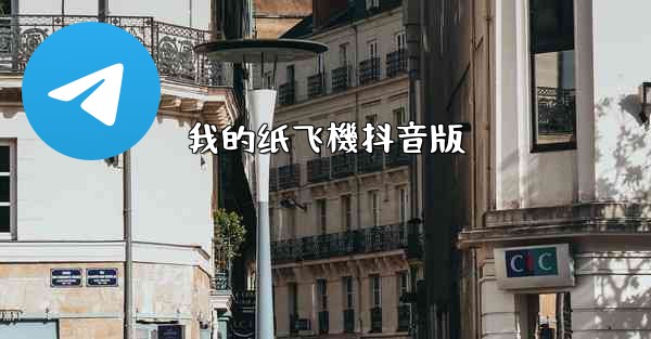 我的纸飞機抖音版