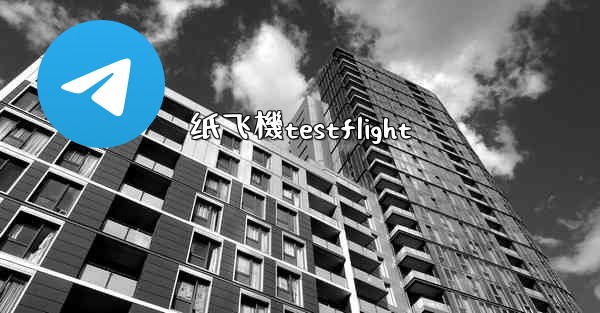 纸飞機testflight