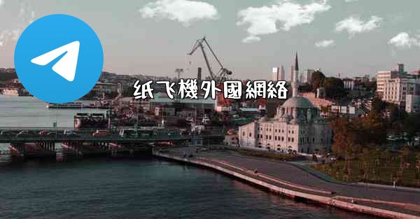 纸飞機外國網絡
