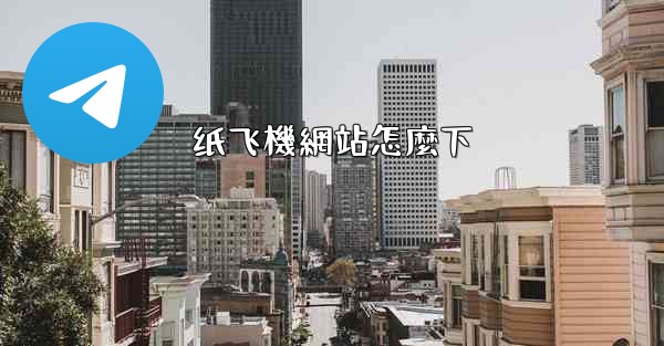 纸飞機網站怎麼下