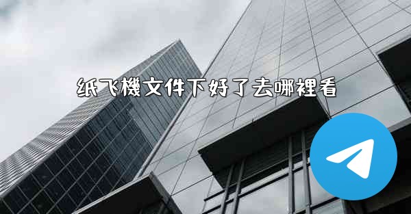 纸飞機文件下好了去哪裡看