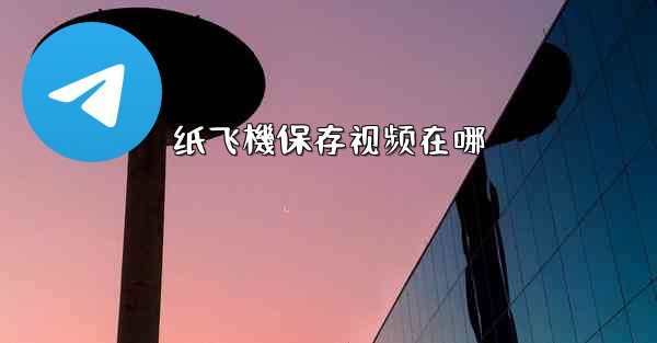 纸飞機保存视频在哪