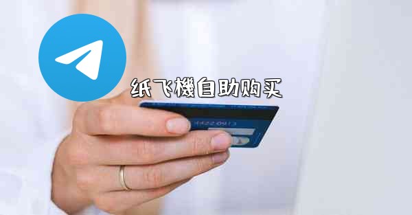 纸飞機自助购买