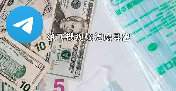 纸飞機视频怎麼导出