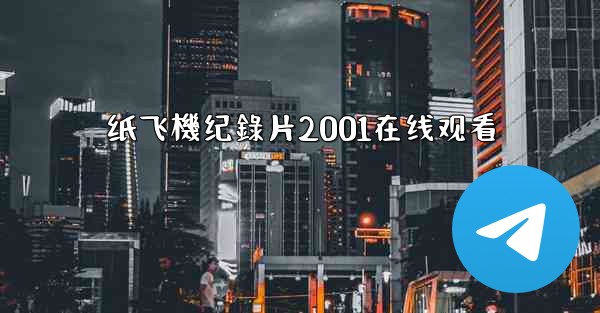 纸飞機纪錄片2001在线观看