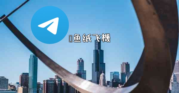 鲨鱼纸飞機