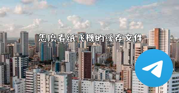 怎麼看纸飞機的缓存文件