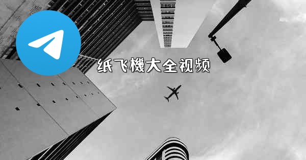 纸飞機大全视频