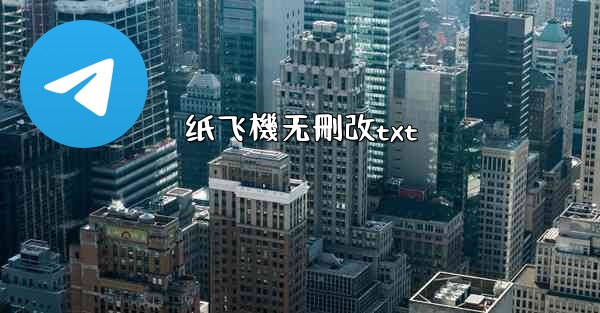 纸飞機无刪改txt