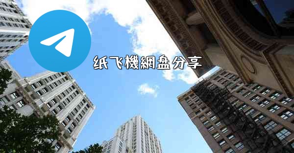 纸飞機網盘分享
