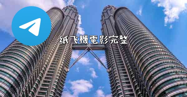 纸飞機電影完整