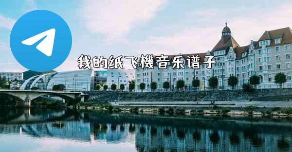 我的纸飞機音乐谱子