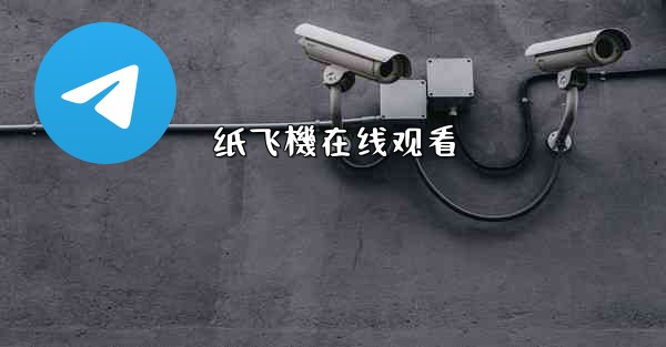 纸飞機在线观看