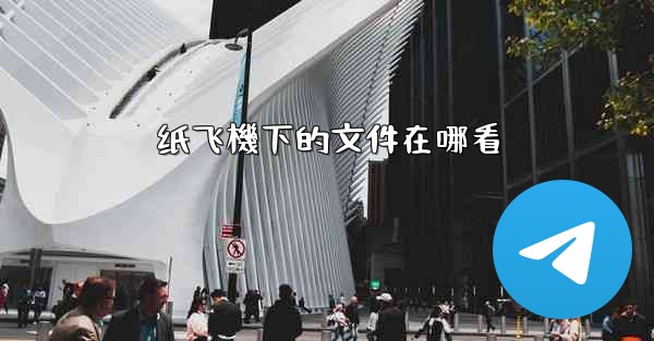 纸飞機下的文件在哪看