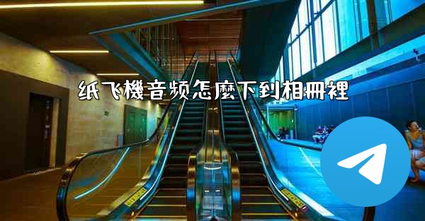 纸飞機音频怎麼下到相冊裡